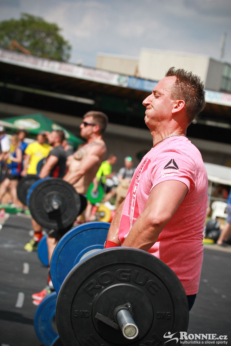 Fit Monster 2016