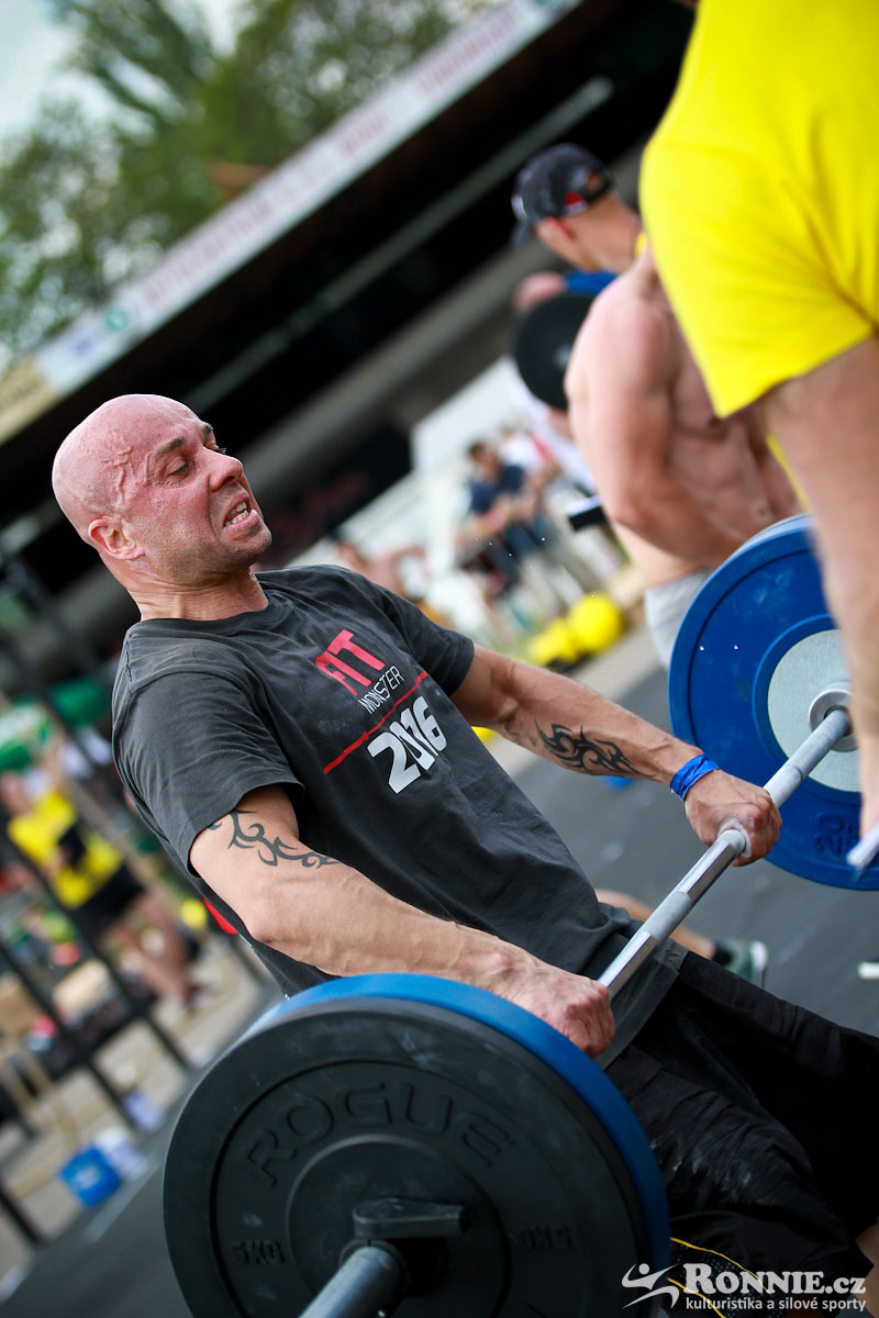 Fit Monster 2016