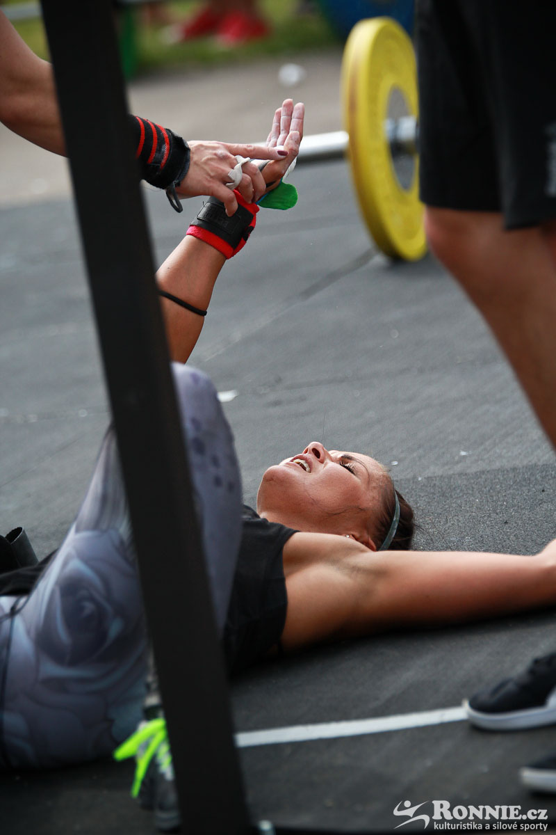 Fit Monster 2016