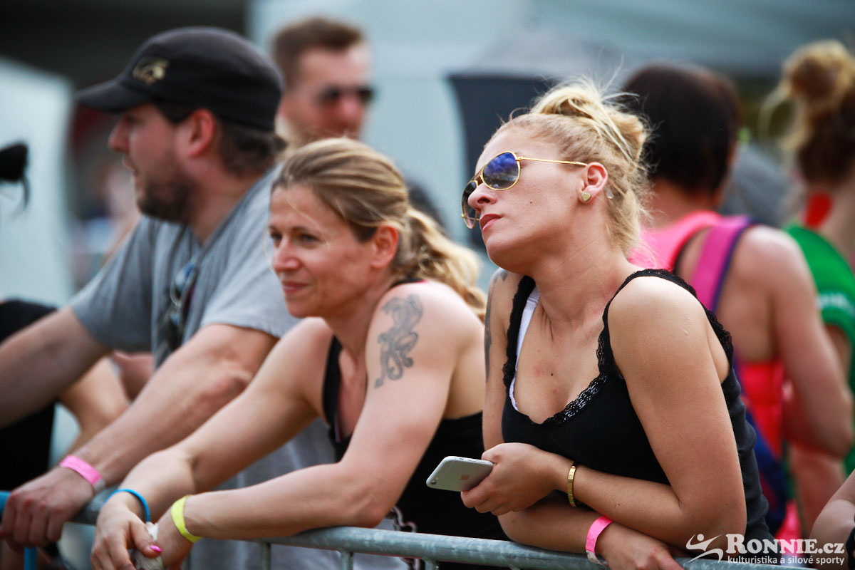 Fit Monster 2016