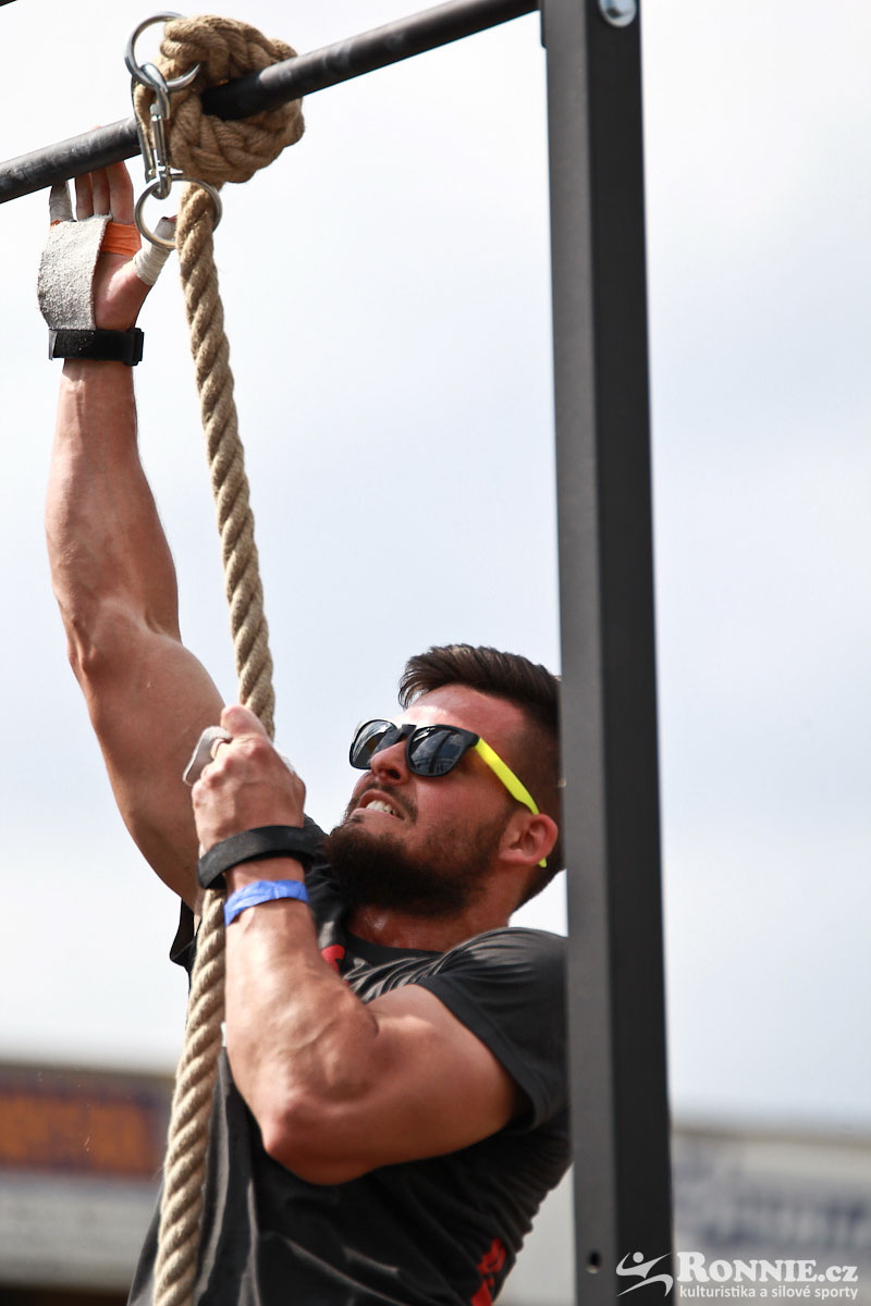 Fit Monster 2016