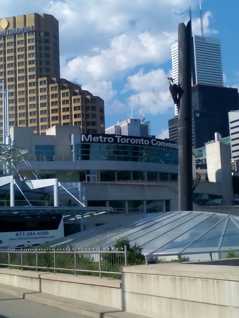 Metro Toronto Convention Centre - d�ji�t� sout�e