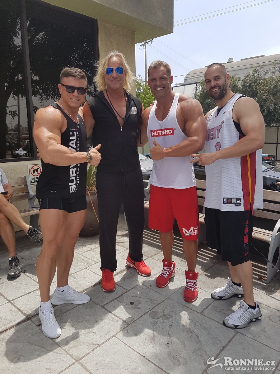 Sl�vek Vinogradov, Martin Mester