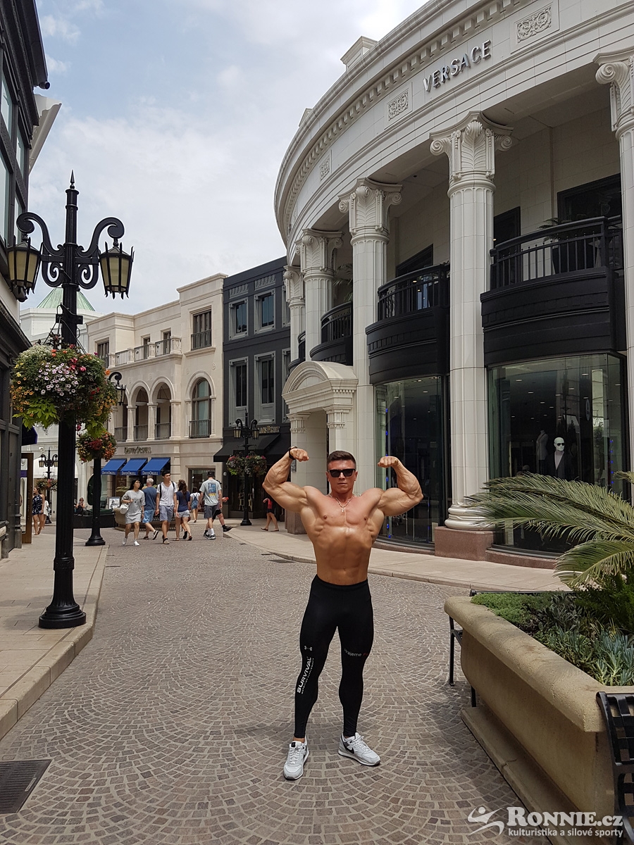 Sl�vek Vinogradov