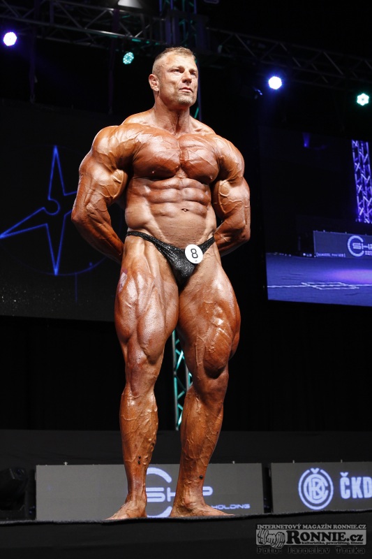 Dalibor H�jek