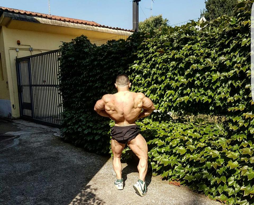 Daniel Sticco