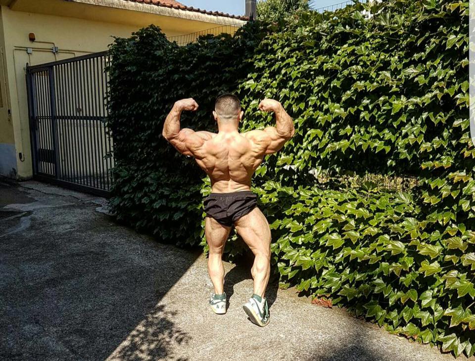 Daniel Sticco