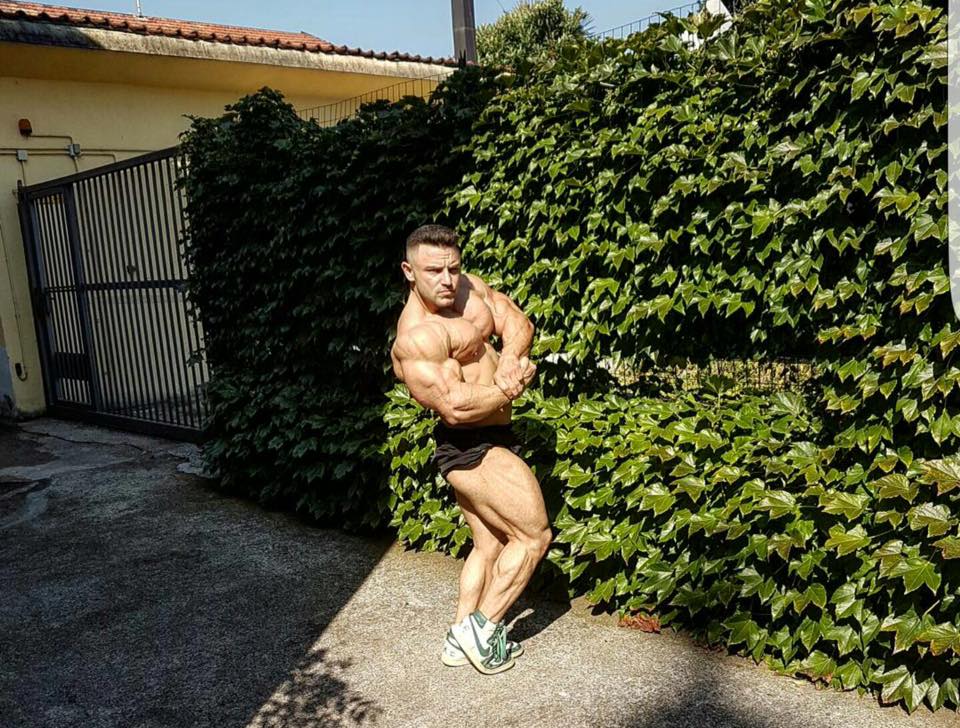 Daniel Sticco