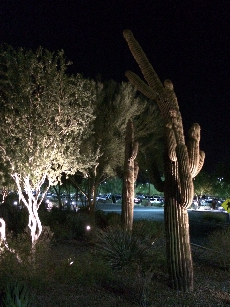 Arizona Pro 2016 - Phoenix