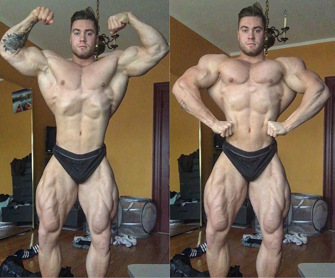 Chris Bumstead