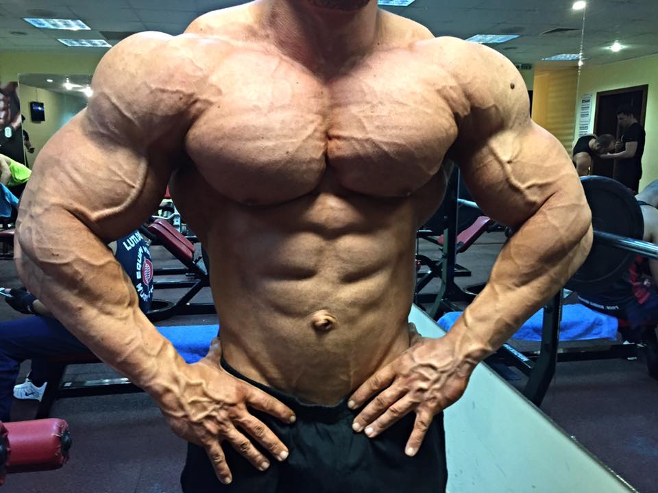 Dan Cristian