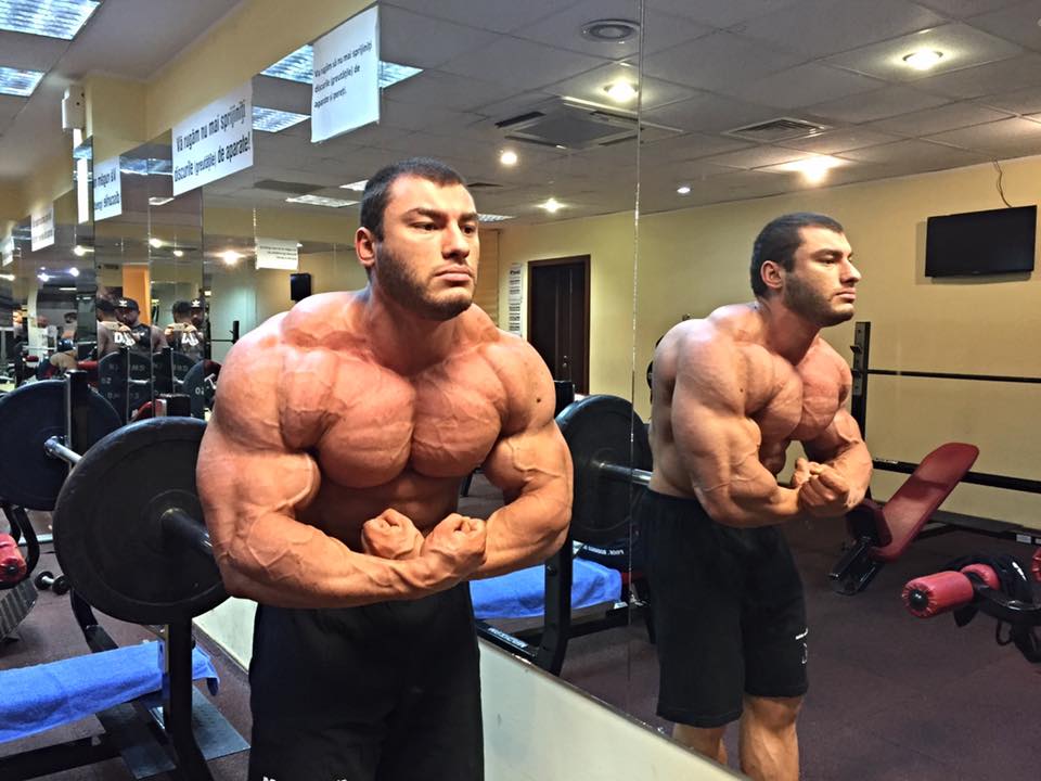Dan Cristian
