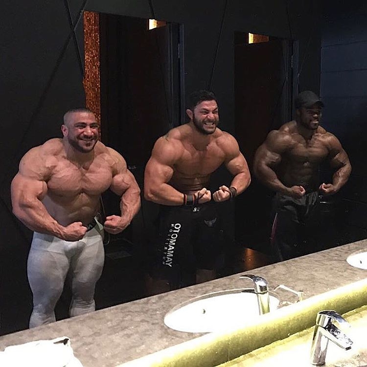 Ahmad Ashkanani, Francesco Montuori, Brandon Curry
