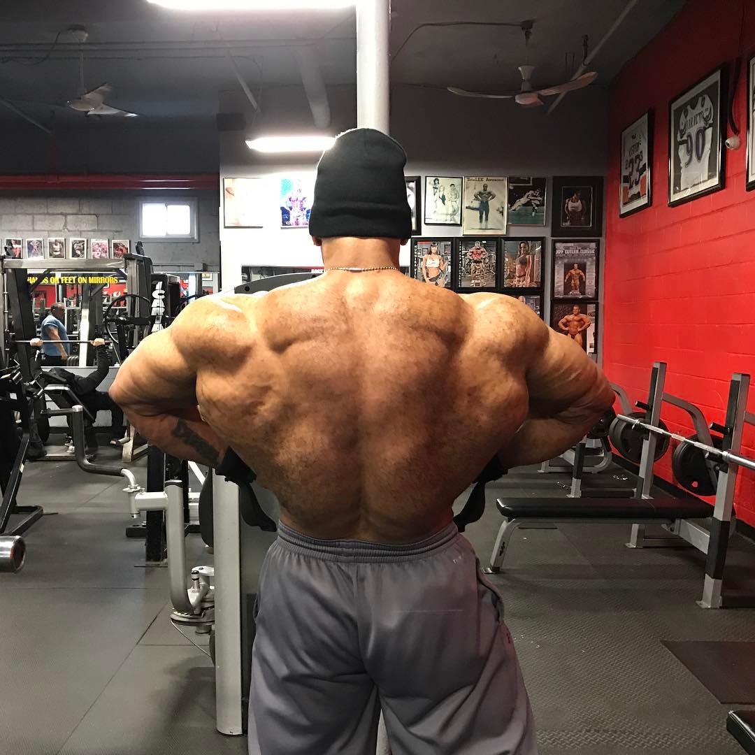 Juan Morel