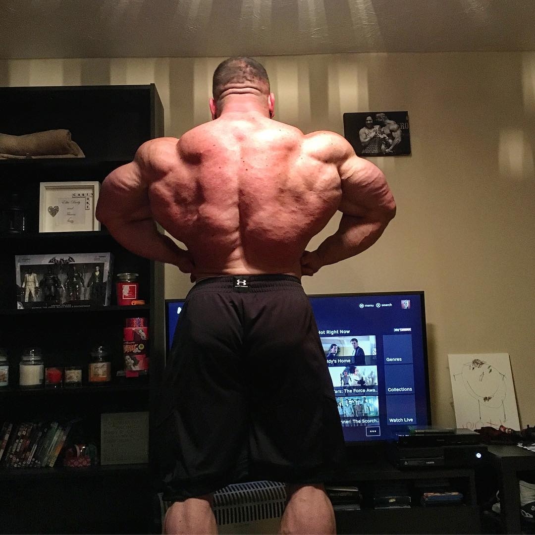 Luke Sandoe