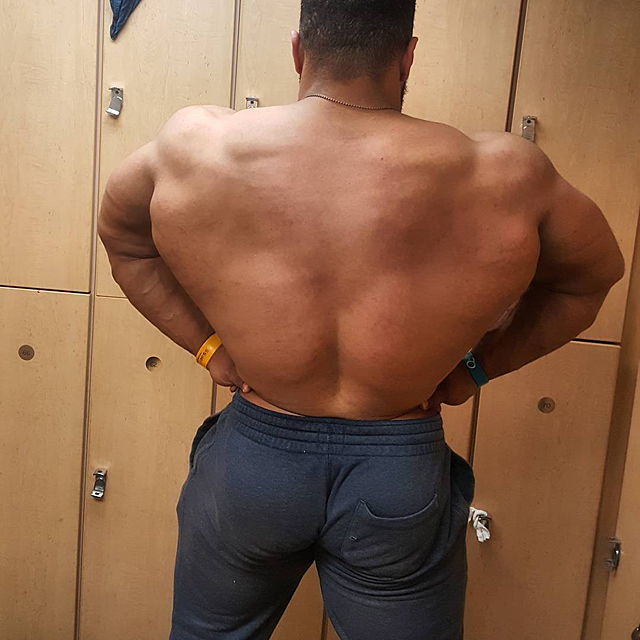 Luis Rodriguez