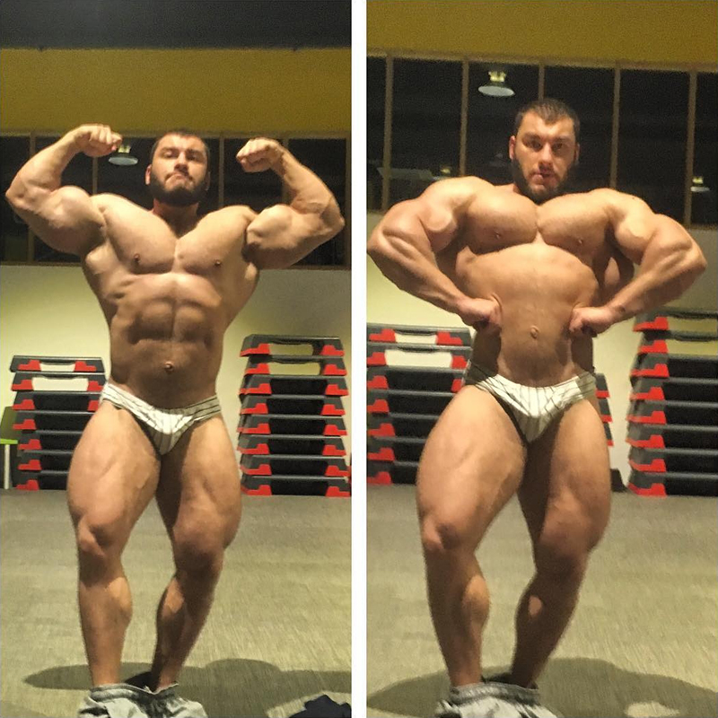 Dan Cristian