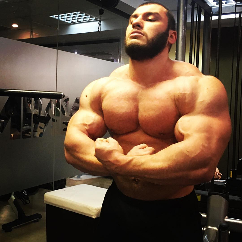 Dan Cristian