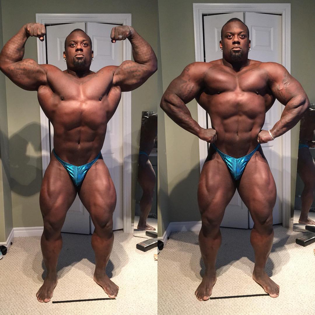 Jonni Shreve