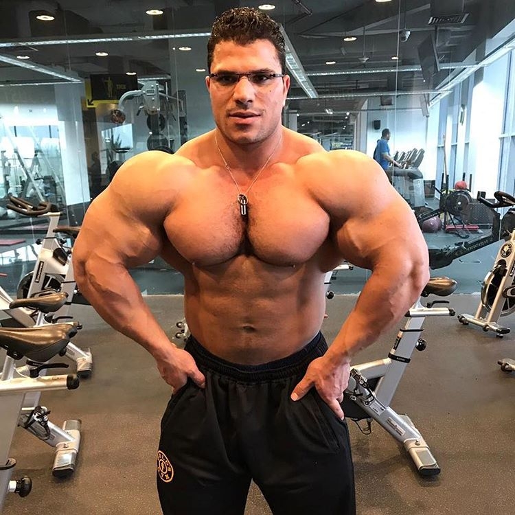 Hassan Mostafa