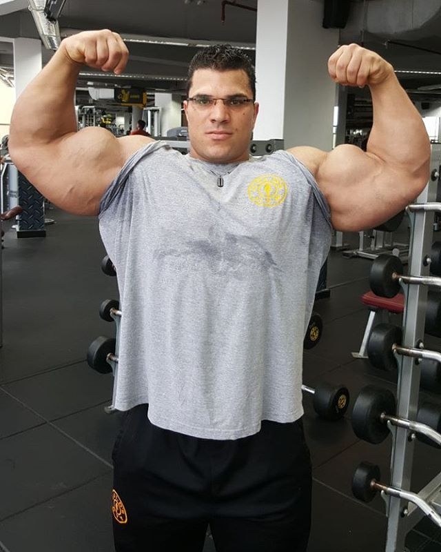 Hassan Mostafa