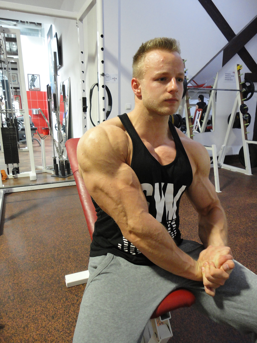 Anton�n Pavl��ek