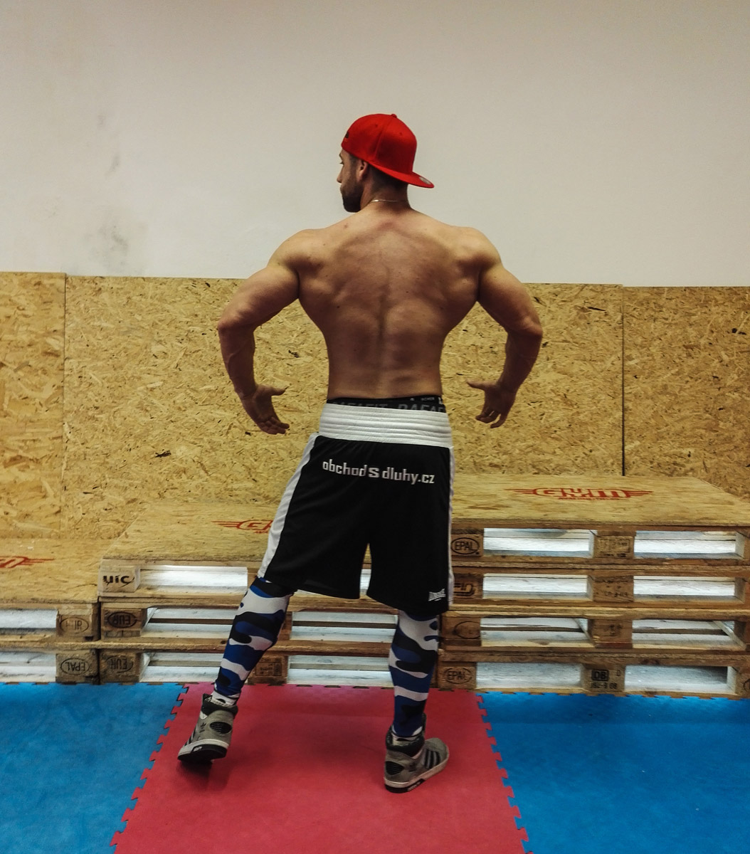 Miroslav P�ib��