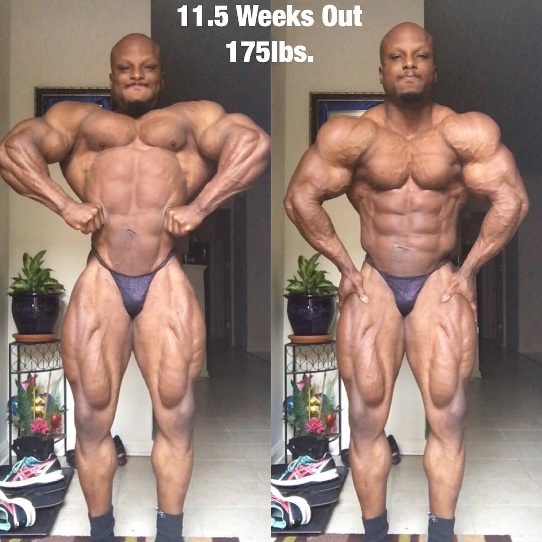 Shaun Clarida