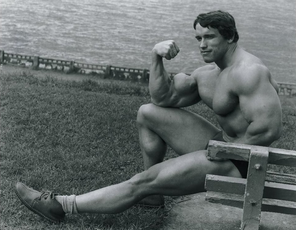 Arnold Schwarzenegger