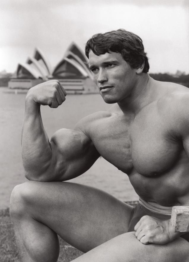 Arnold Schwarzenegger