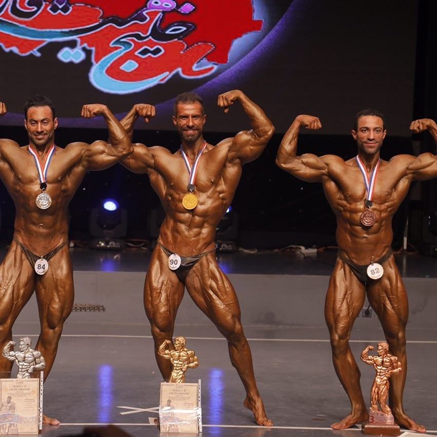 �Saeid Shahrestani, Seyedreza Hoseyni, Alireza Salimi