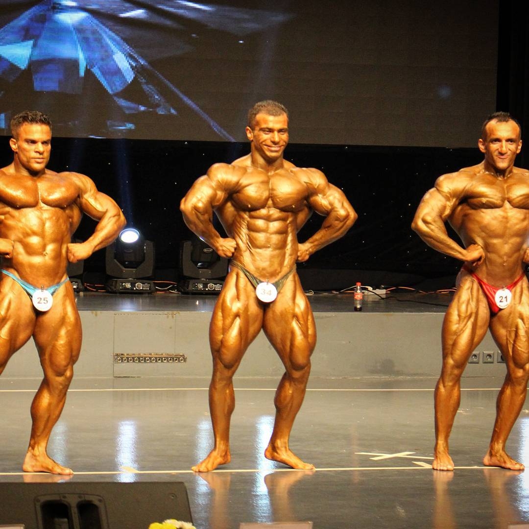 Vahid Kastak Haedini, Majid Amani, Milad Maskook�
