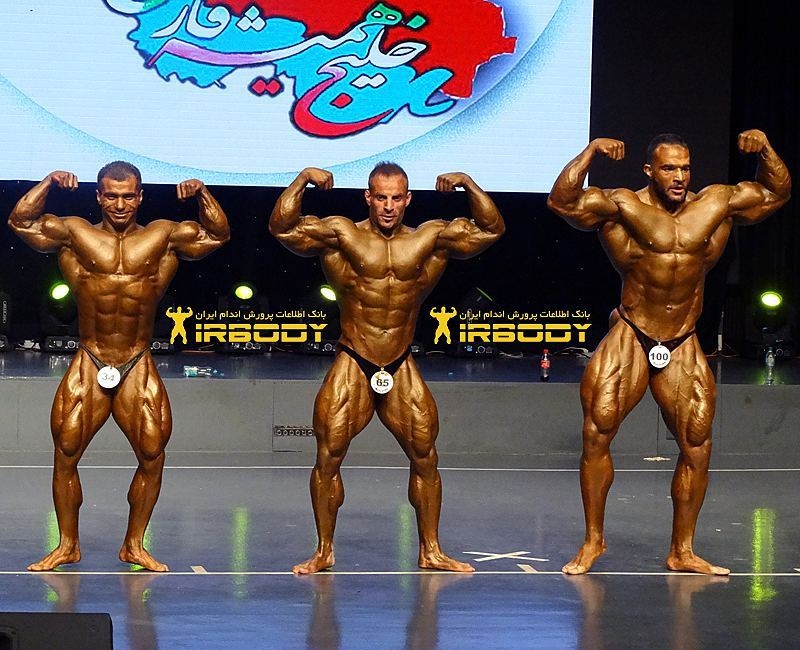 Majid Amani, Meysam Keshvari, Mohsen Samadi�