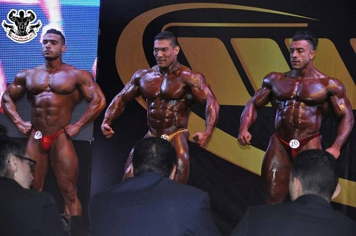�Mohamed Taha Abdelfattah, Hamid Lakzaei, Hadi Abdollah Azad Abatari