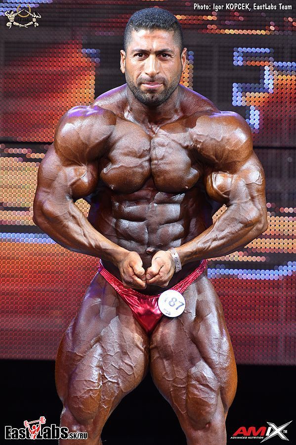 Hossein Kalateh
