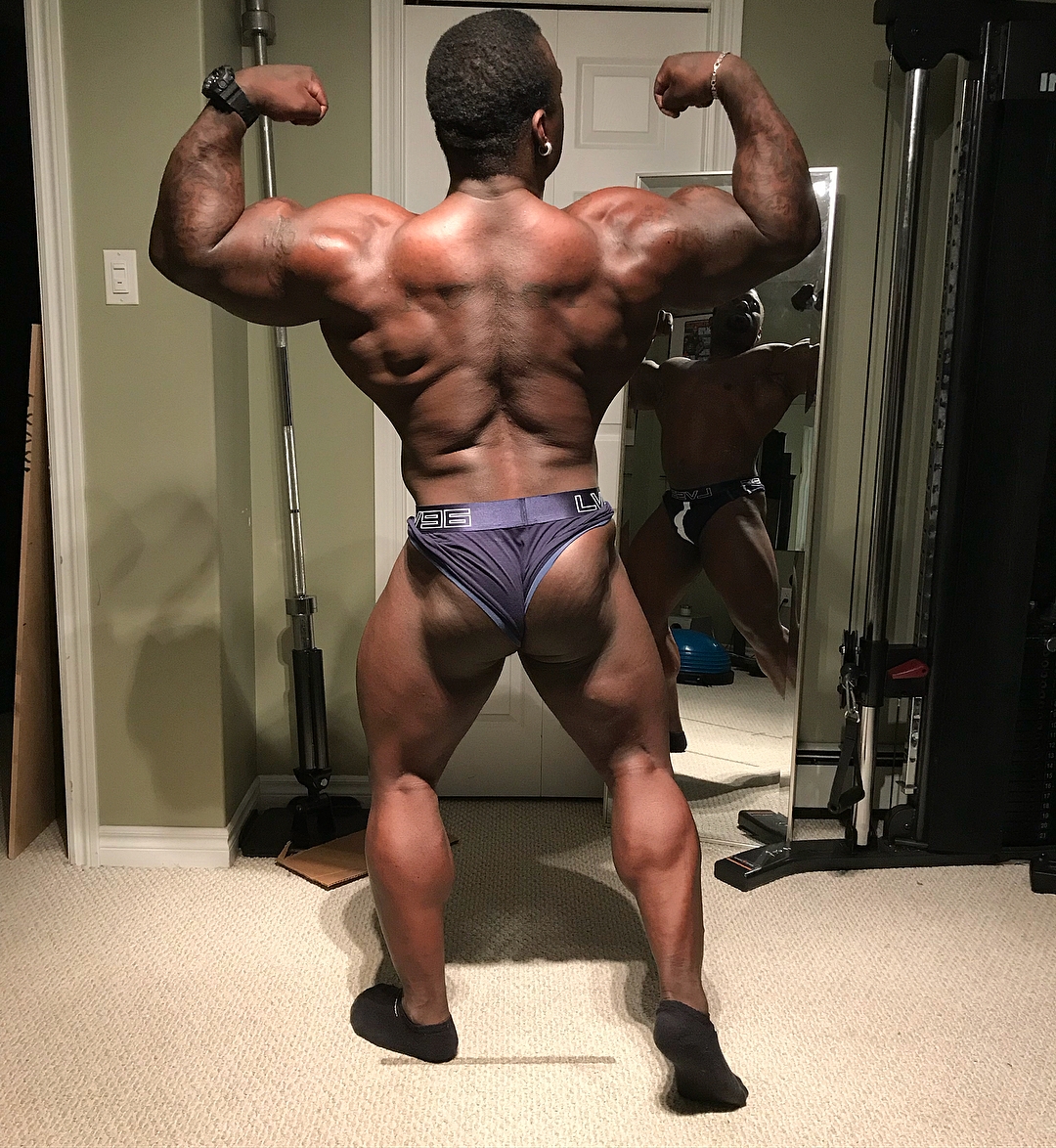Jonni Shreve