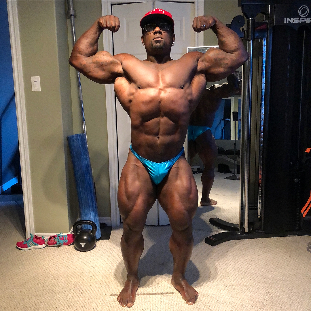 Jonni Shreve