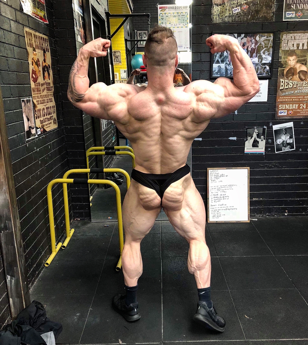 Steve Orton