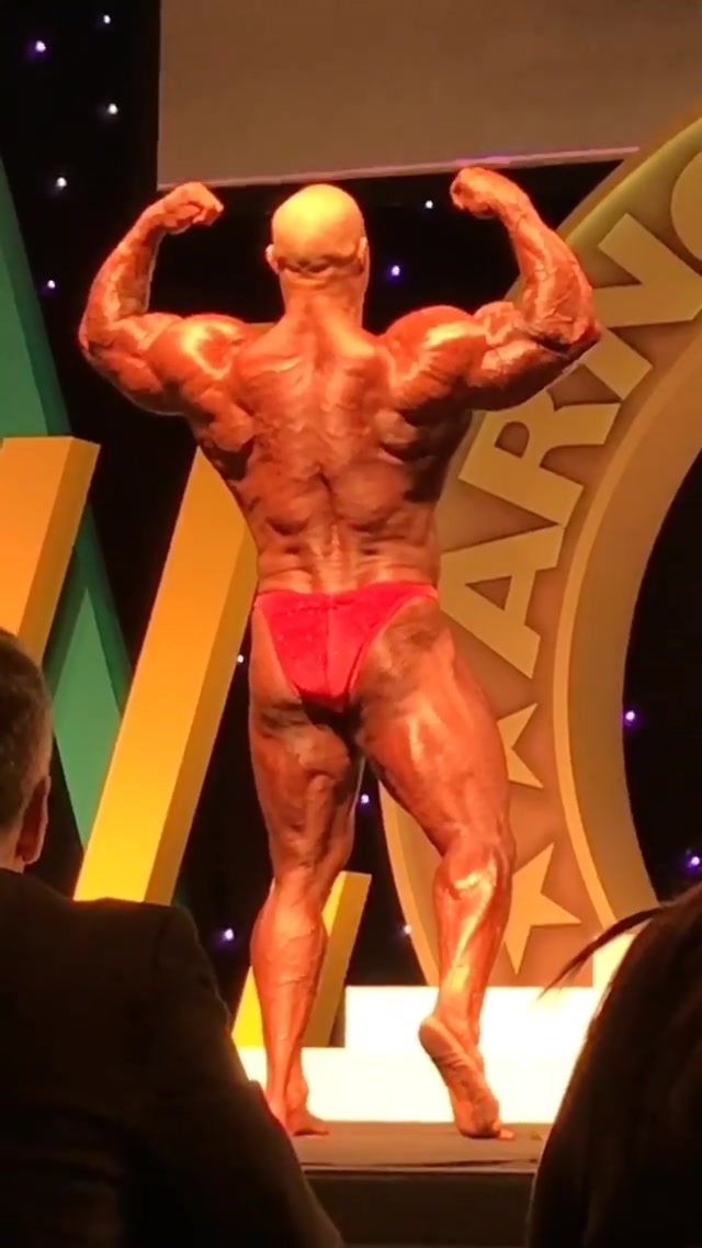 Kevin Levrone��