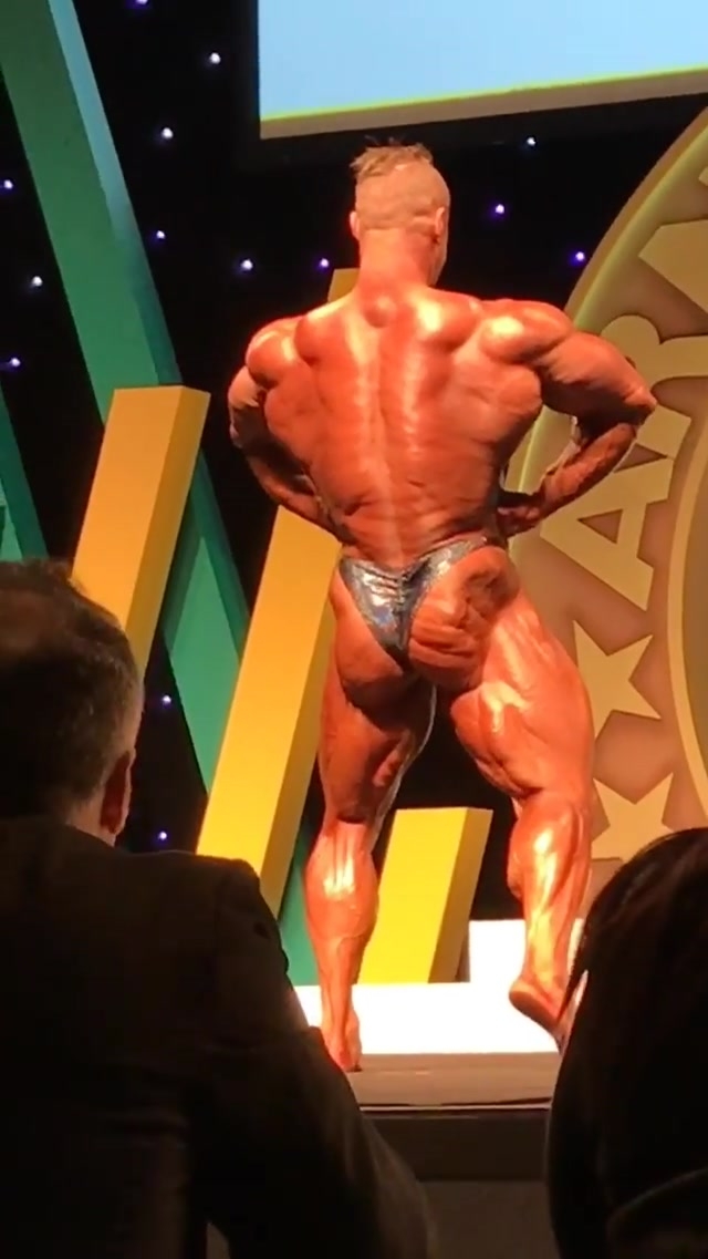 Steve Orton��