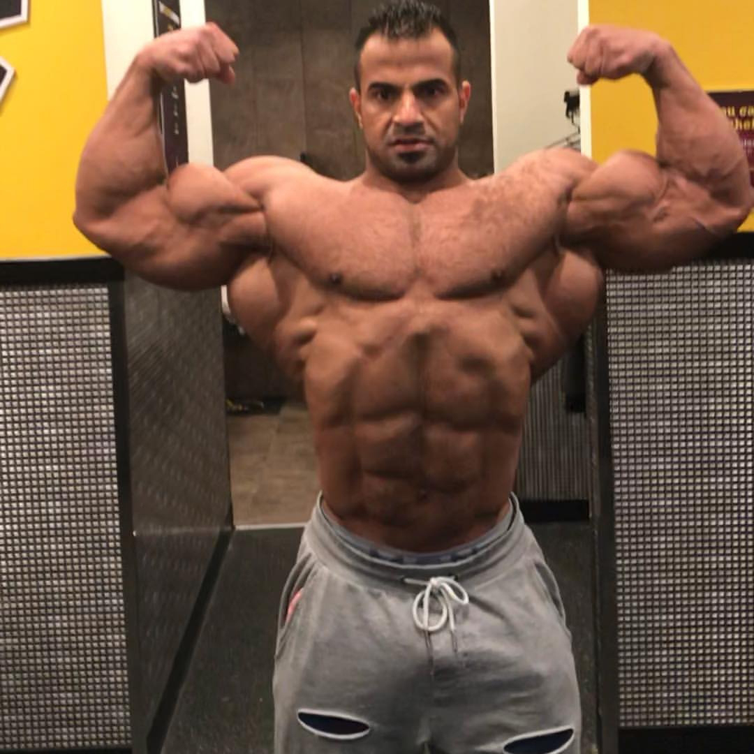 Ahmed Wardany