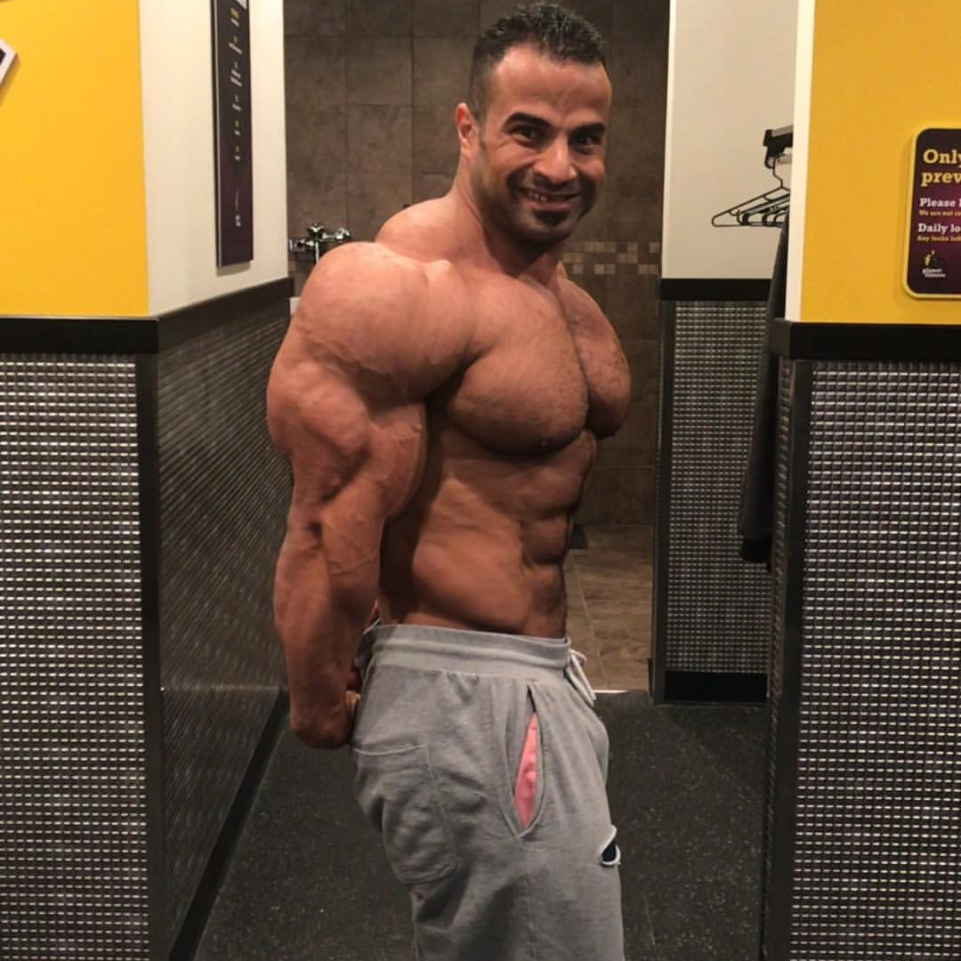 Ahmed Wardany