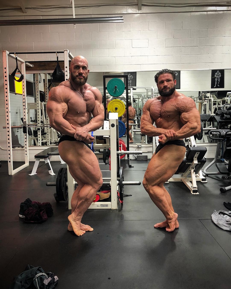 Antoine Vaillant, Zane Watson
