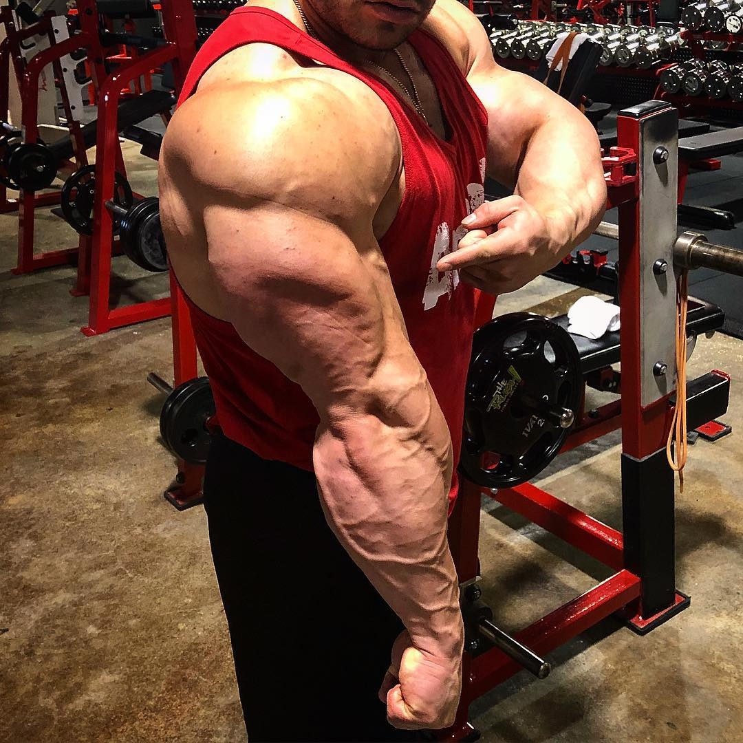 Derek Lunsford 9,5 t�dne p�ed Olympia 212 Showdown 2018