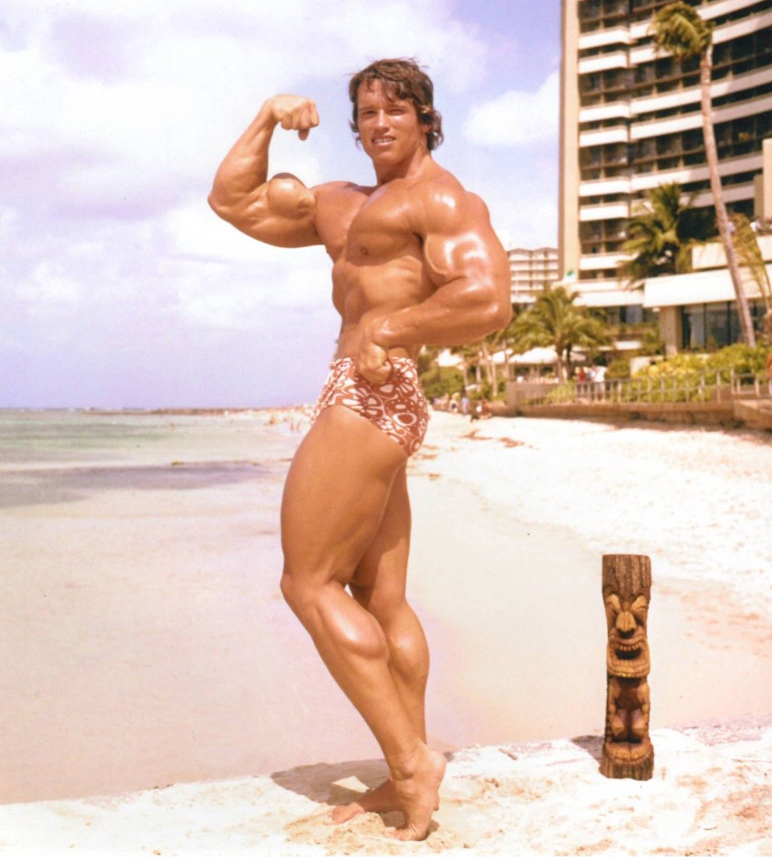 Arnold Schwarzenegger