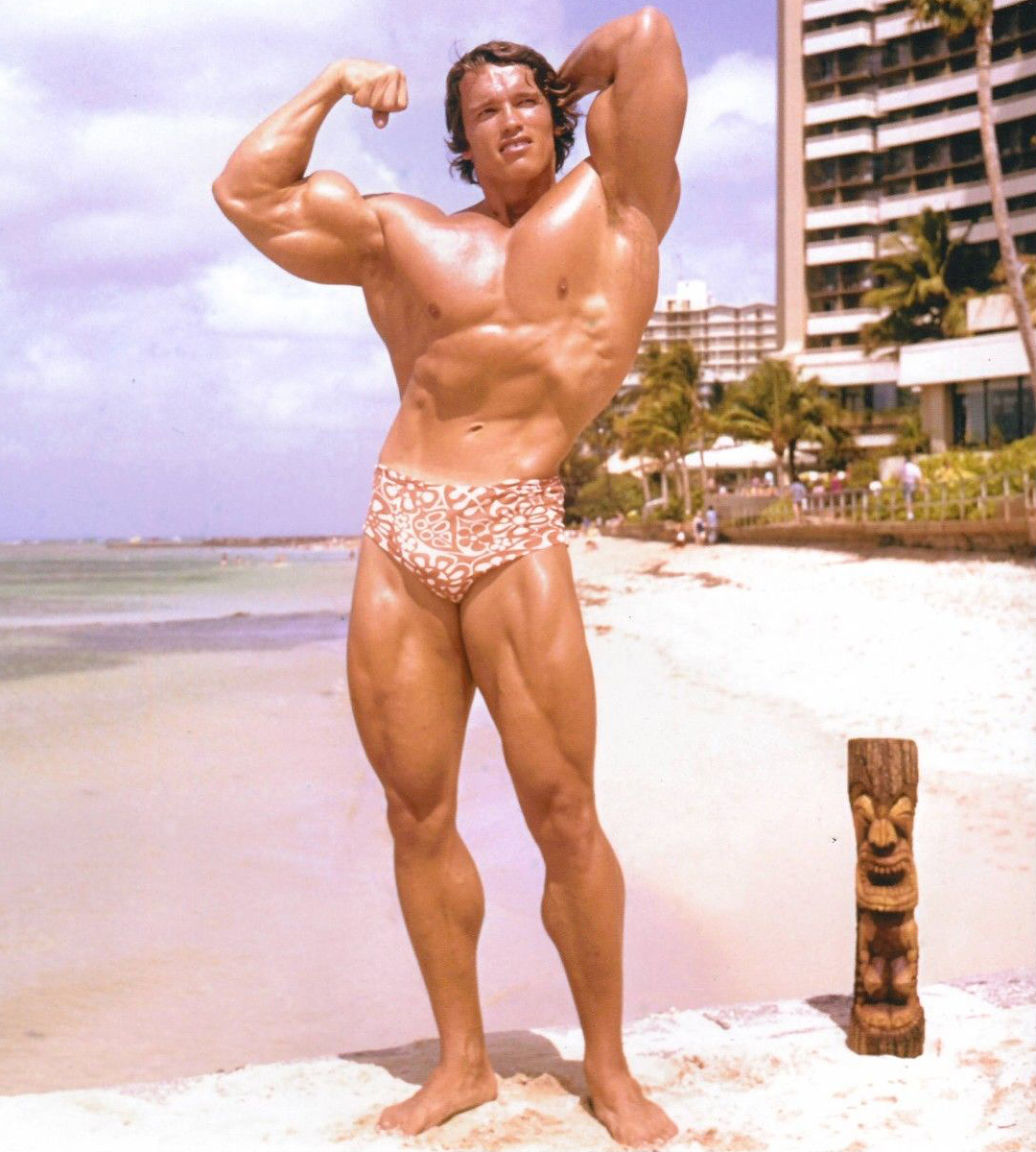 Arnold Schwarzenegger