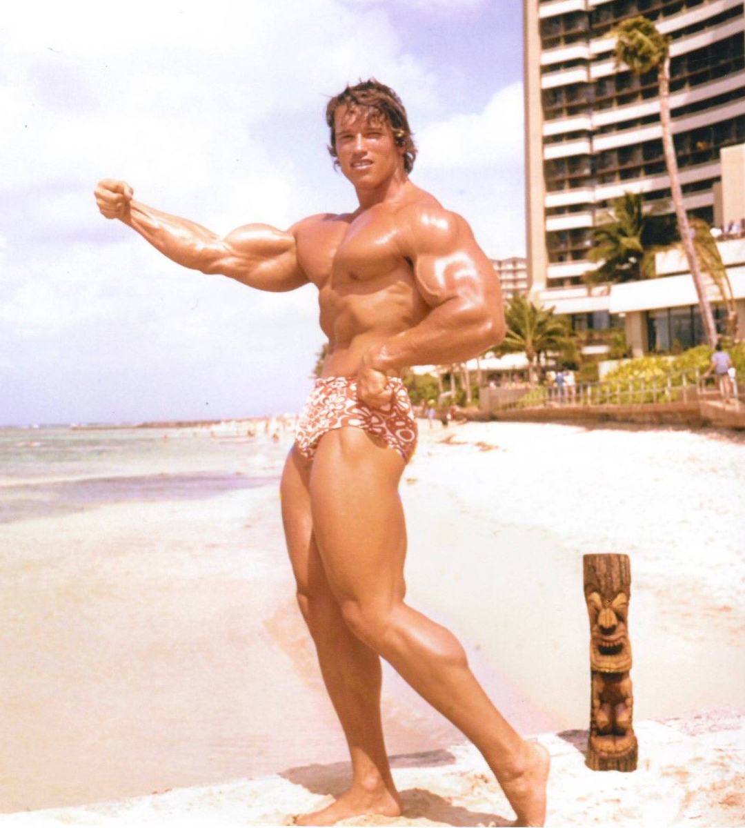 Arnold Schwarzenegger