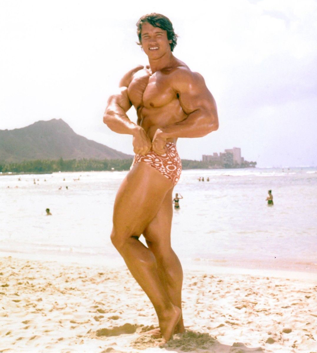 Arnold Schwarzenegger