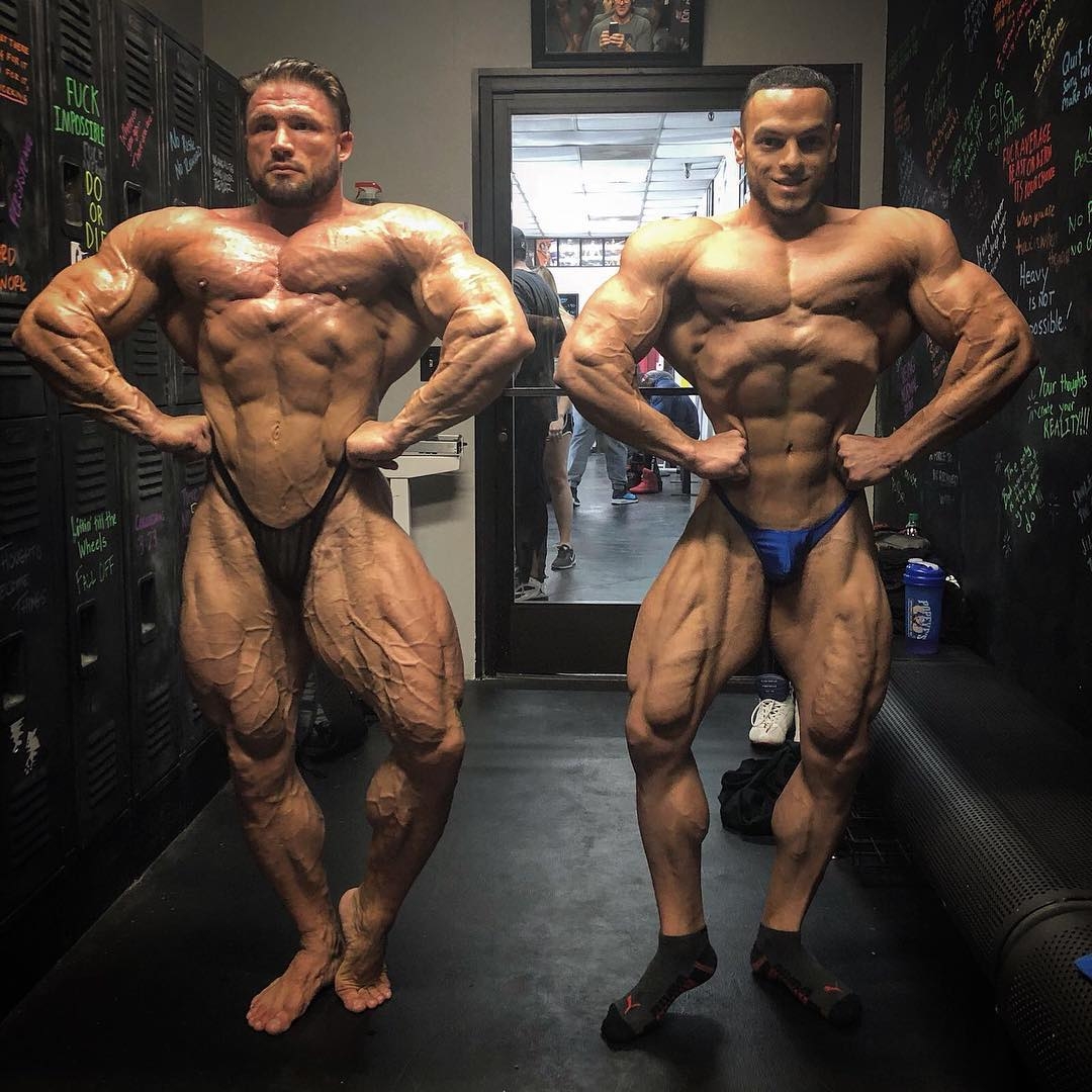 Zane Watson, Abood Saif