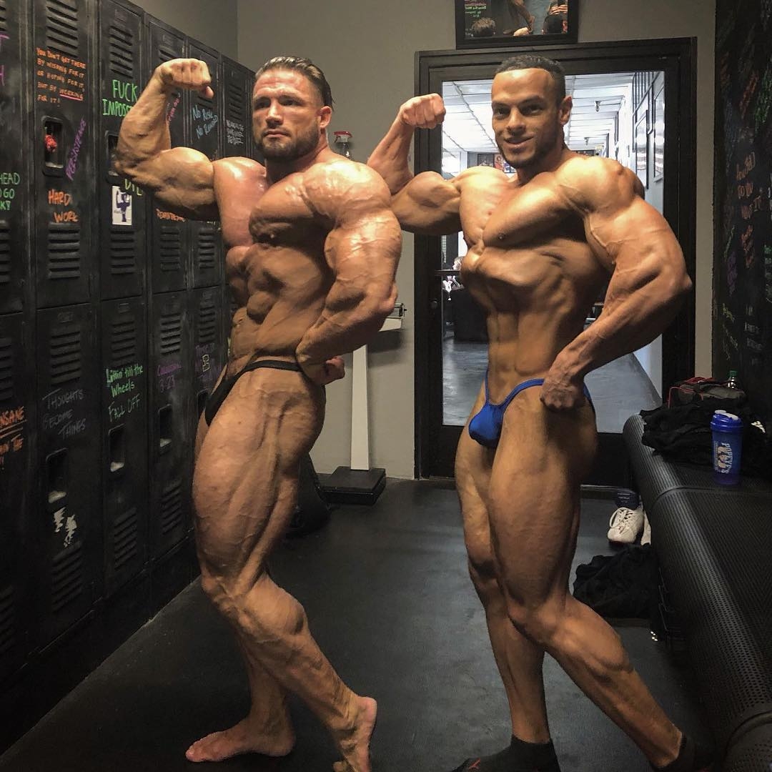 Zane Watson, Abood Saif